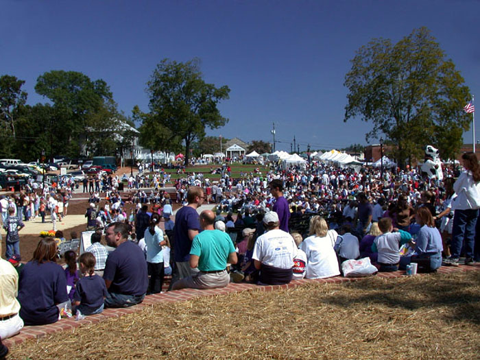 Duluth Town Green