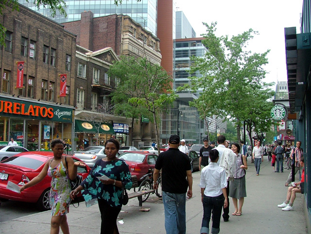 Sainte Catherine Street Streets Transportation