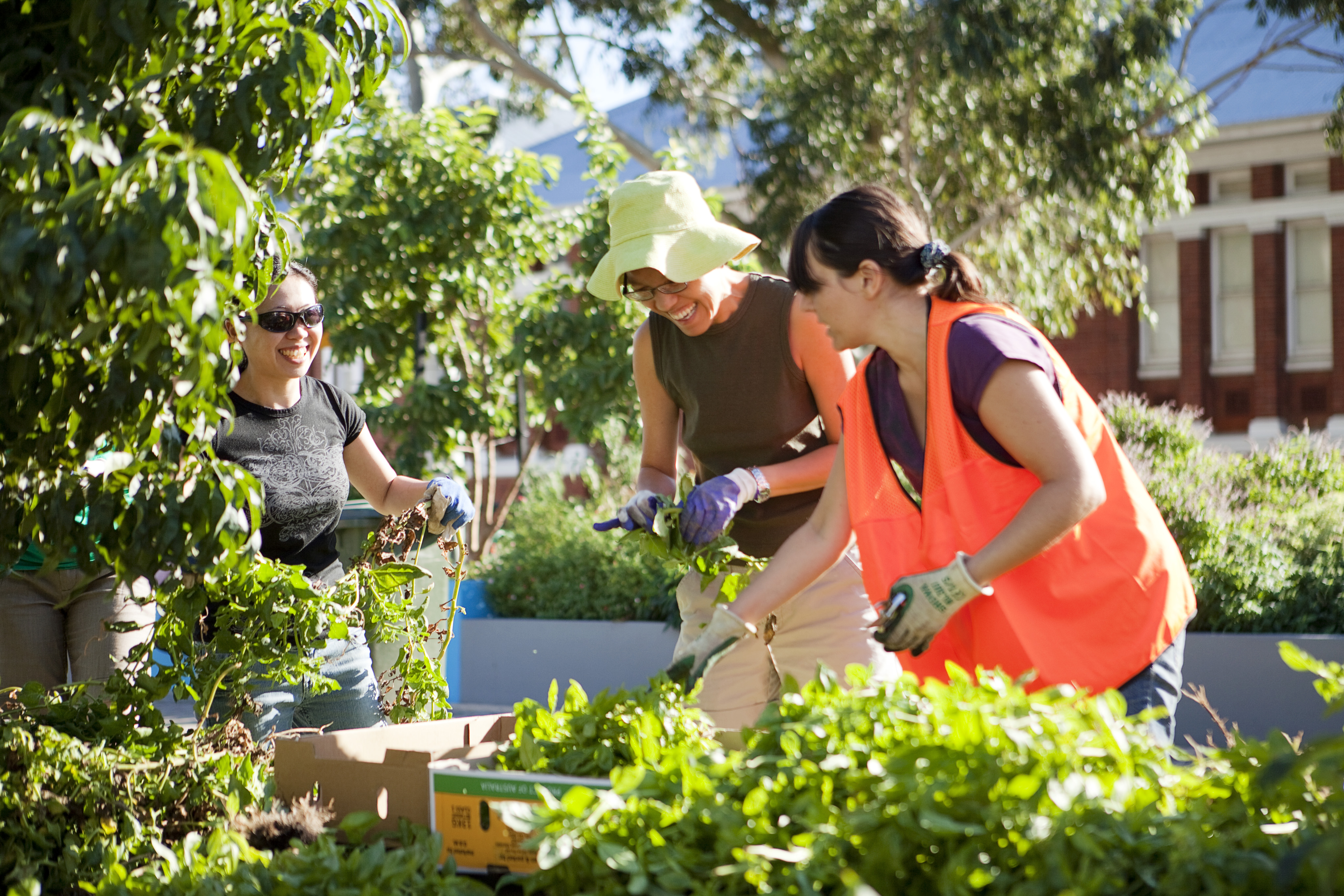 Perth Cultural Centre