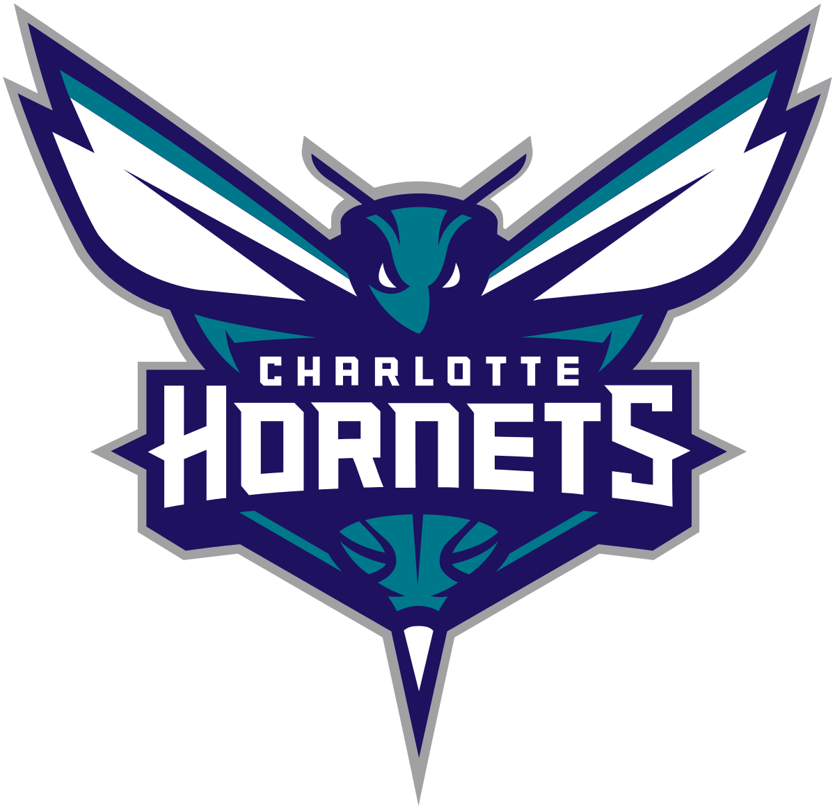 Image result for charlotte hornets logo