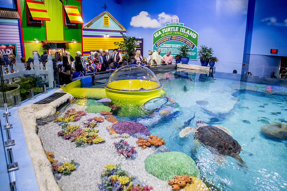Sea Turtle Island features three viewing levels and an underwater observation station that children (and agile adults) can crawl into and see the sea turtles and fish.