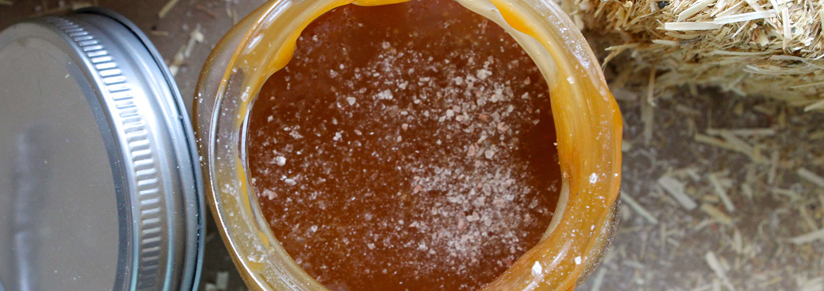 Decadent Salted Caramel Sauce (Photo: Chelsi Fisher)