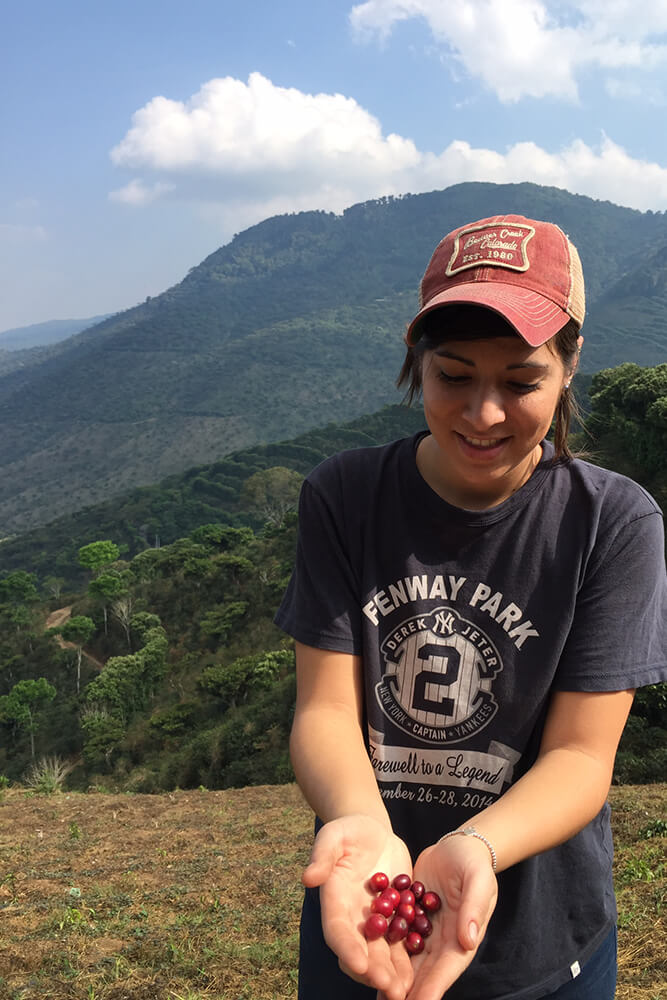 The highest quality of coffee comes from mountainous regions.