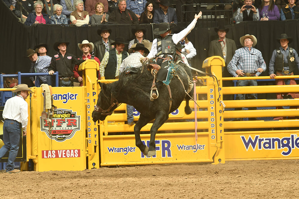 Saddle Bronc Riding (Photo: Dan Hubbell)