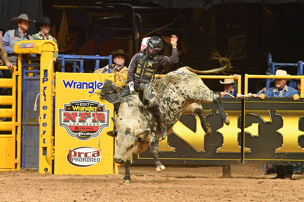 Bull Riding (Photo: Dan Hubbell)