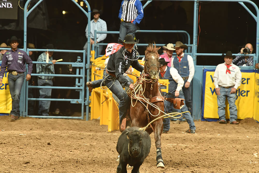 Tie-down Roping (Photo: Dan Hubbell)