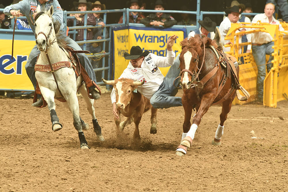 Steer Wrestling (Photo: Dan Hubbell)