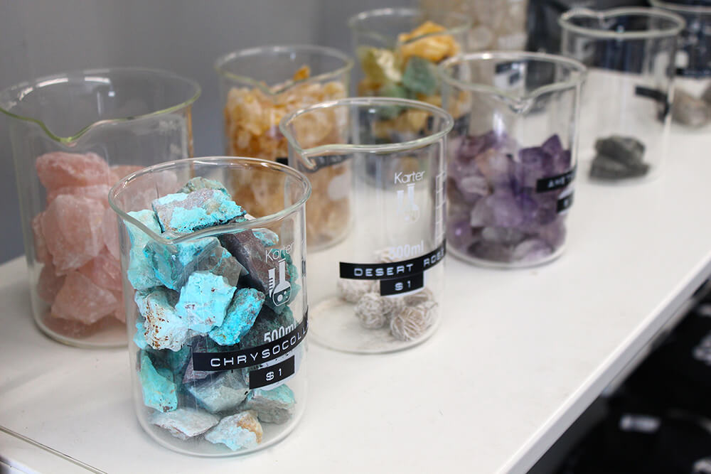 STEMcell offers items for both adults and children — with variety enough to intrigue just about anyone. (Photo: Chelsi Fisher)