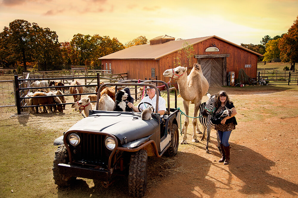 Linda and Bill Goldner, owners of Oasis Animals, have always had a love for animals and have incorporated creatures such as camels and horses into their biblical productions throughout the years.
