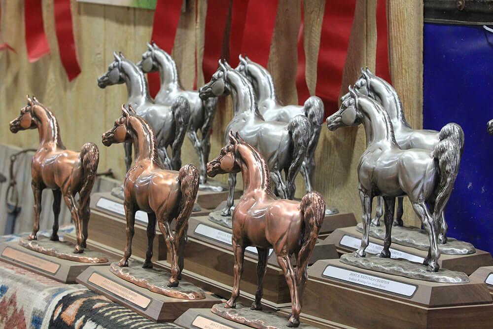 Riders compete and show their beloved horses in a multitude of events including halter, reining, sidesaddle, English hunter, working cow, cutting, and so much more. But you don’t have to be a horse lover or Arabian enthusiast to enjoy the show.