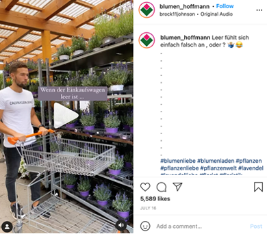 Blumen Hoffmann Meme