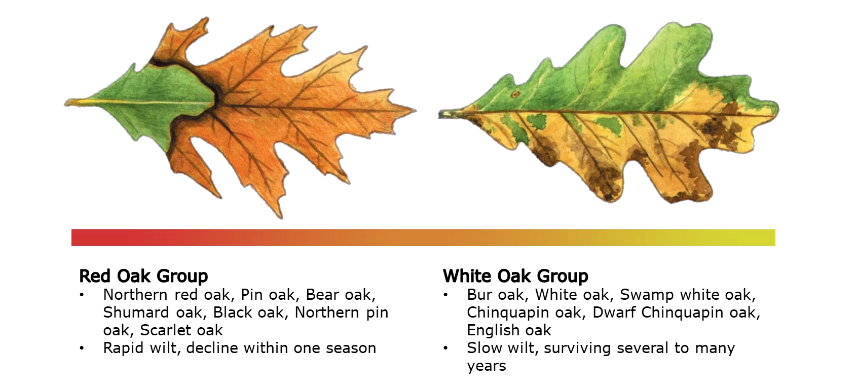 Gro-Bark