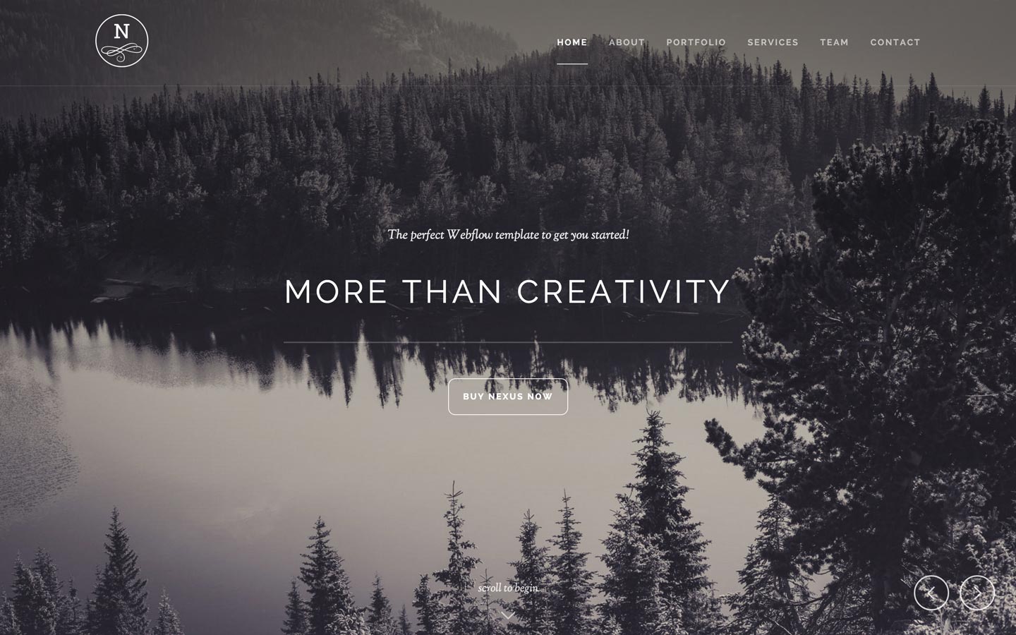 Nexus agency website template
