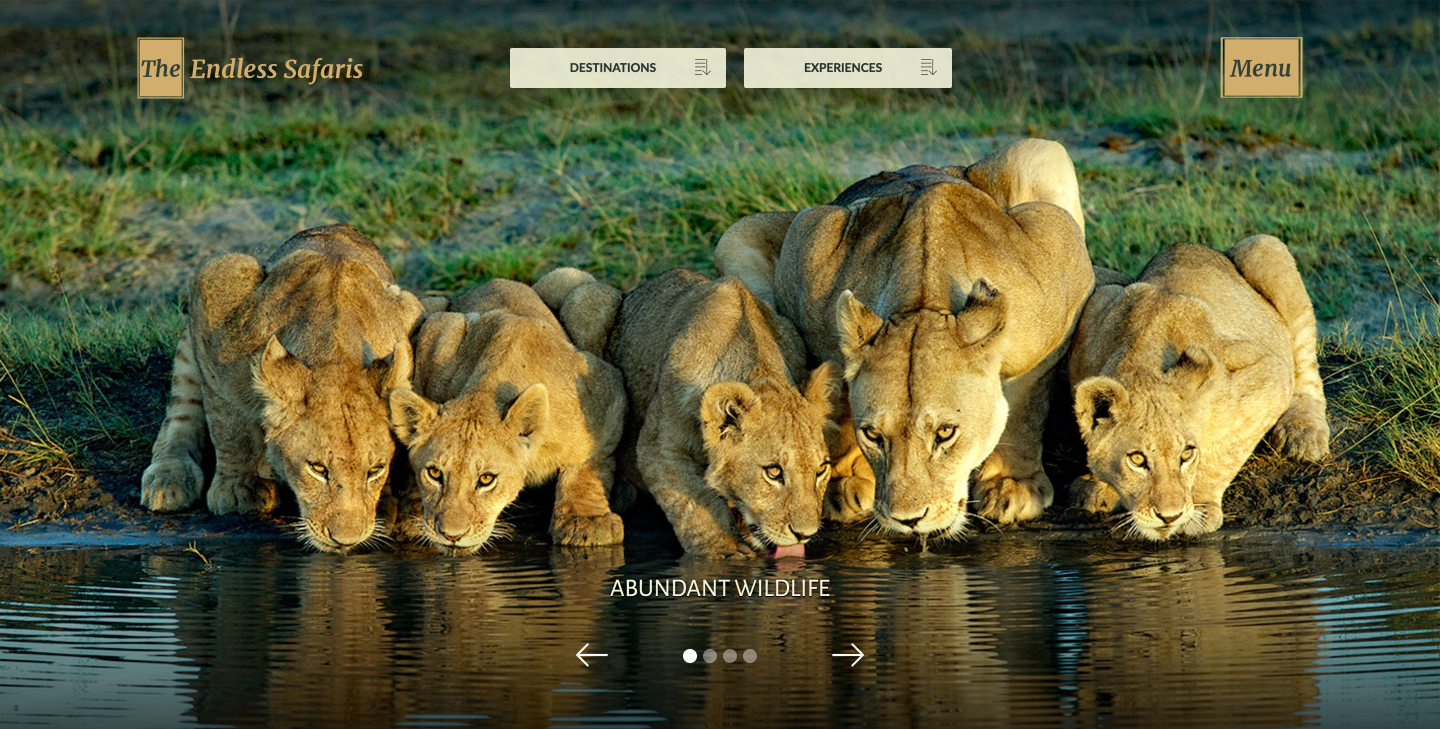 Endless Safaris travel website homepage