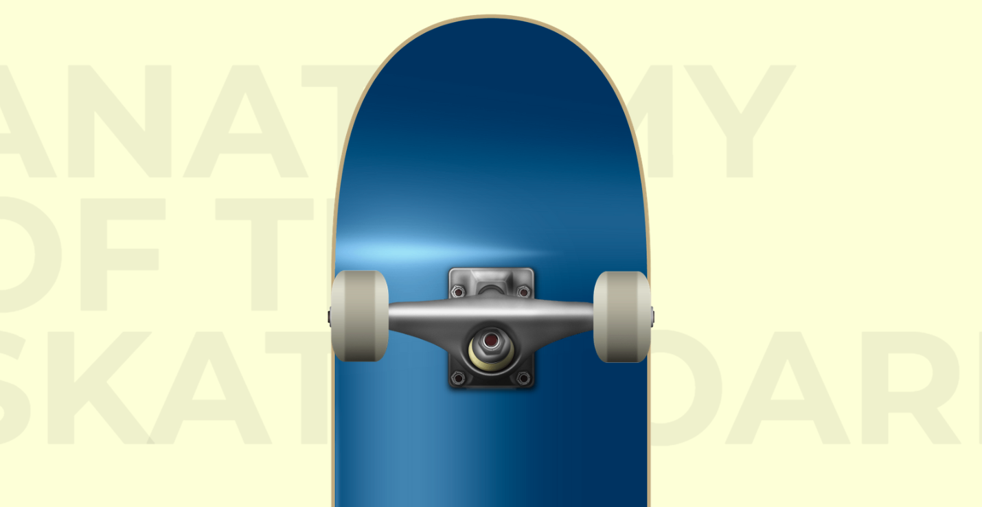 The underside of the back half of a skateboard.