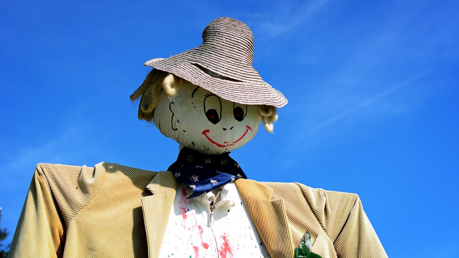 A scarecrow shot from below showing the shouders up.