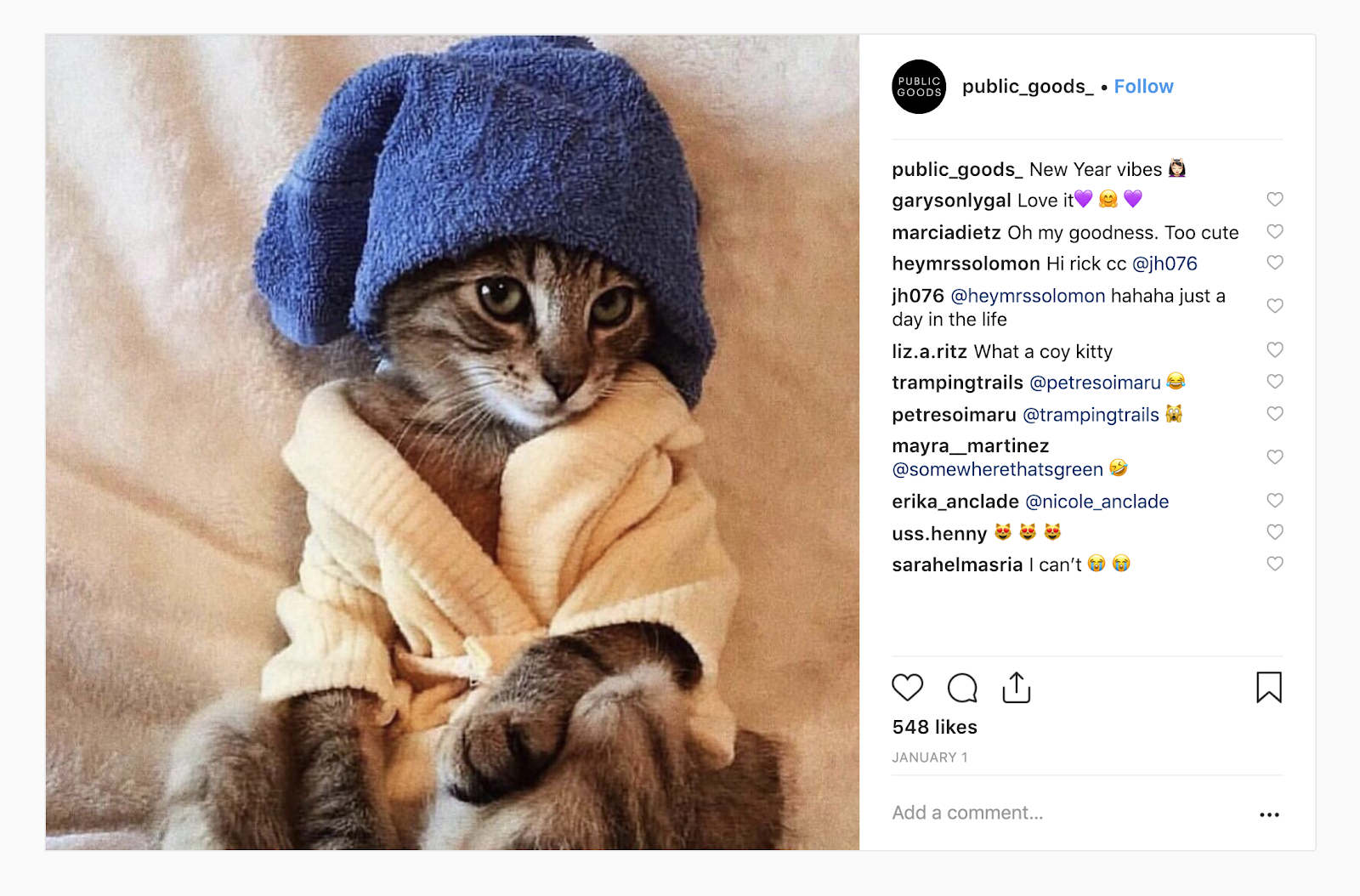 Public Goods instagram post of a cat on its back, wearing a bath robe and a towel on its head. The caption reads, "New Year vibes"
