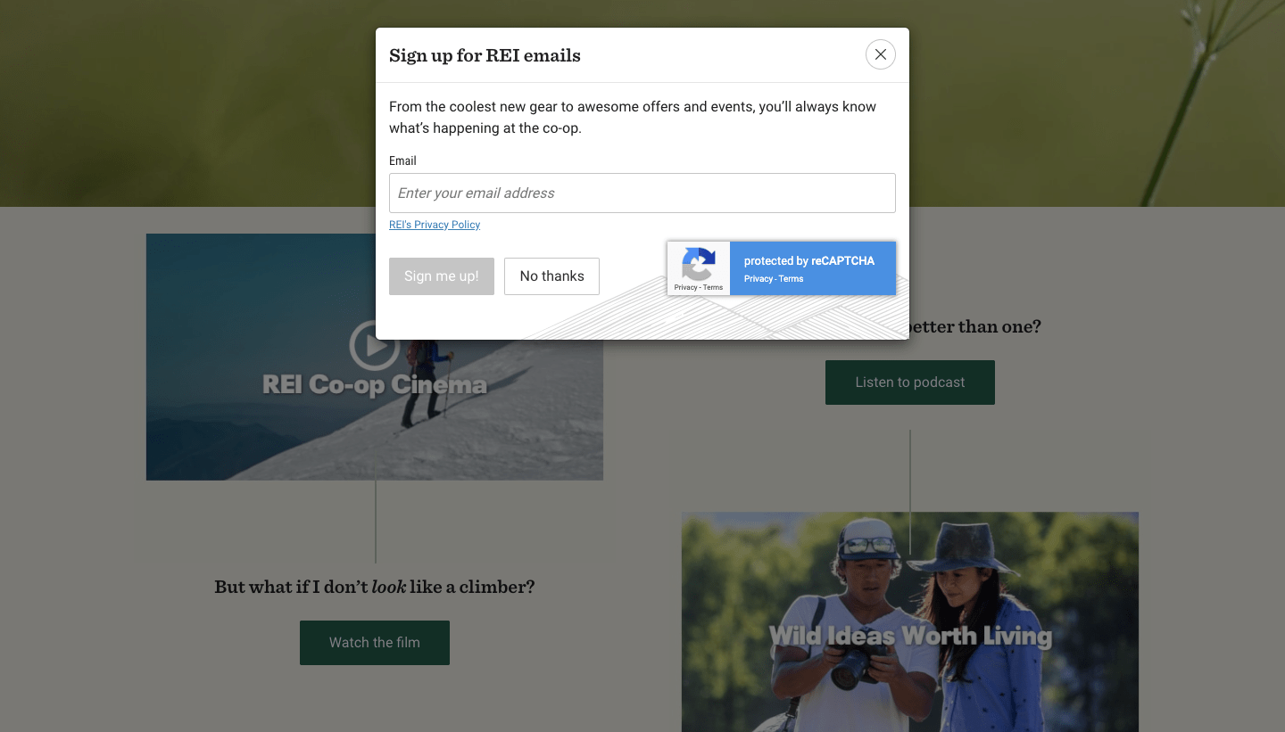Popup window to sign up for REI emails.