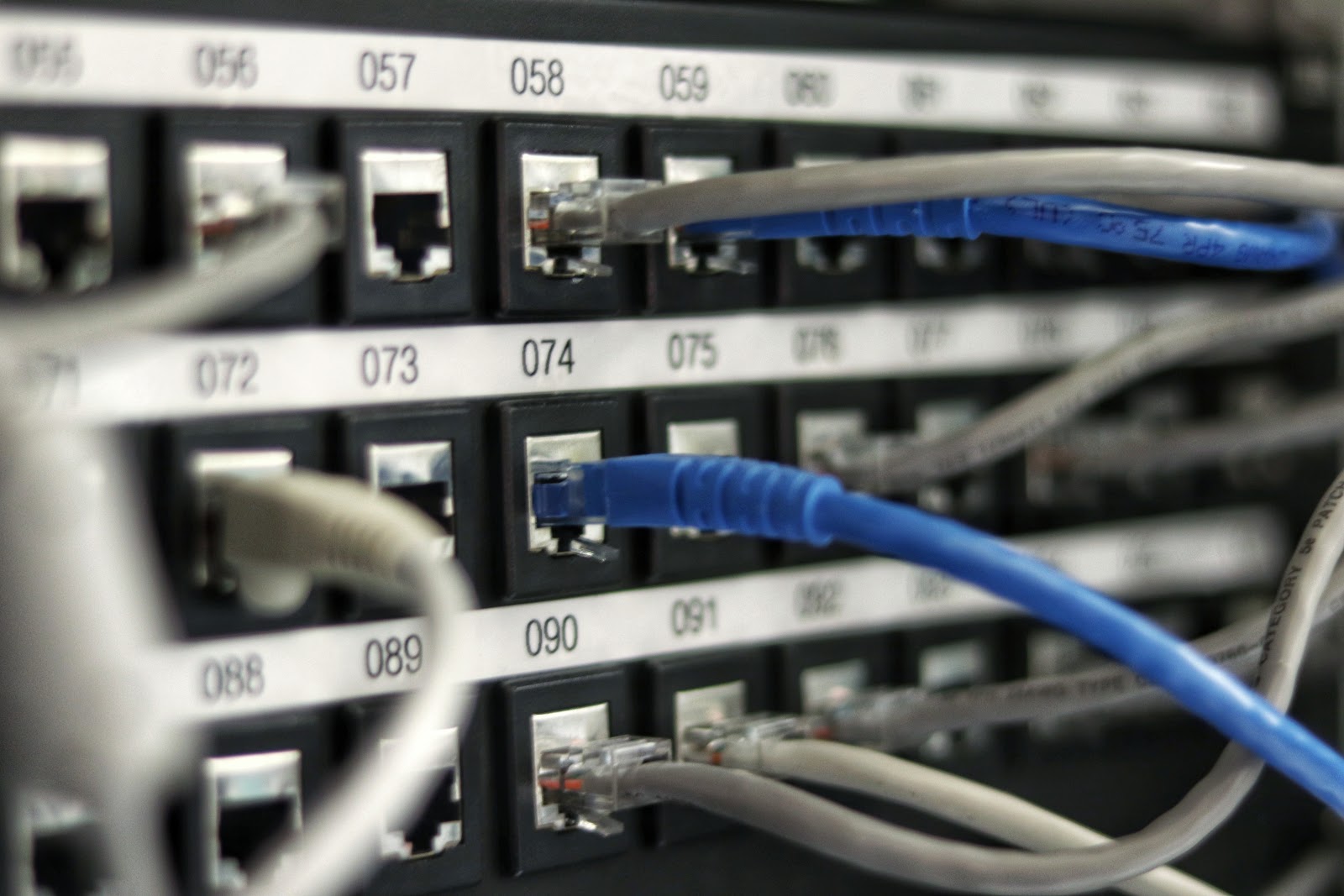 website backup