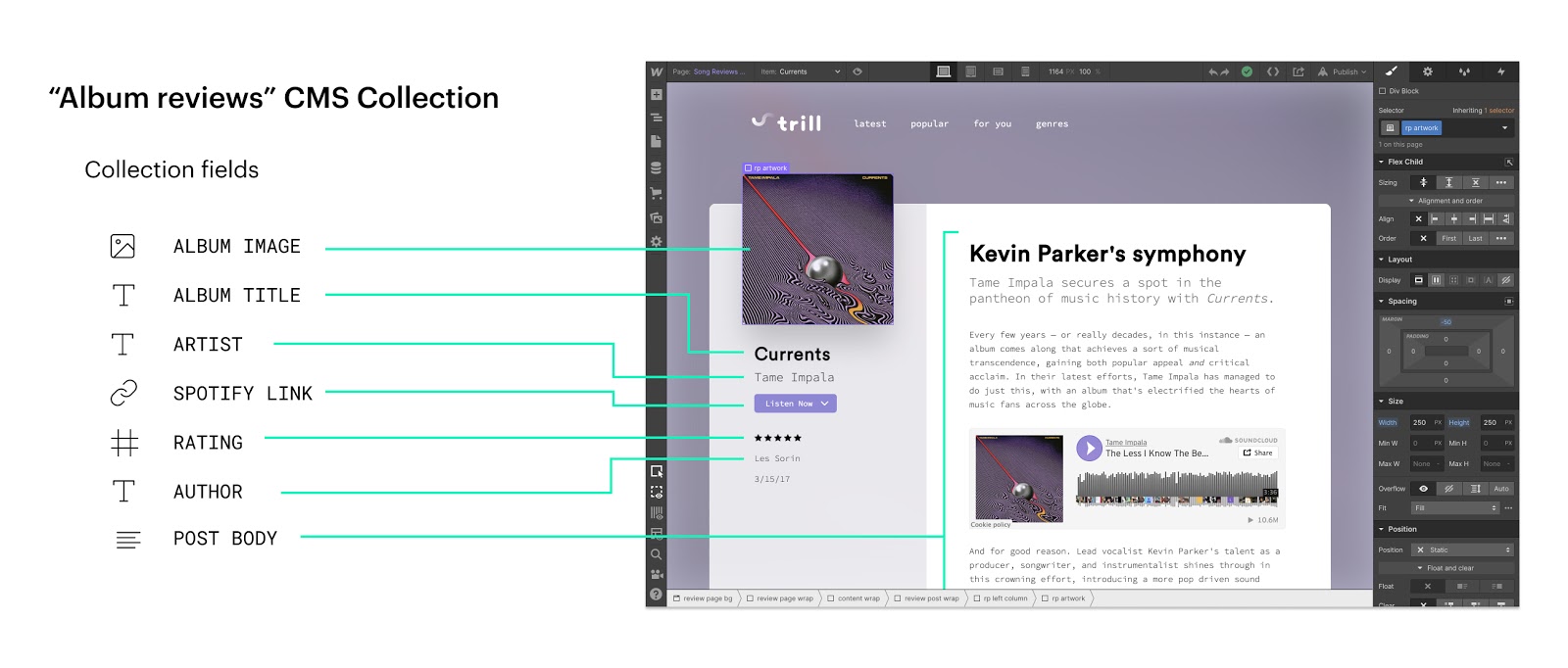 cms collections in Webflow