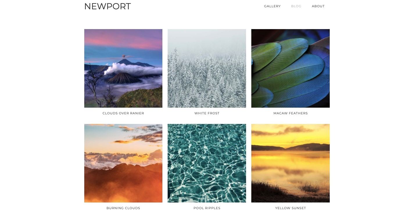 newport portfolio template
