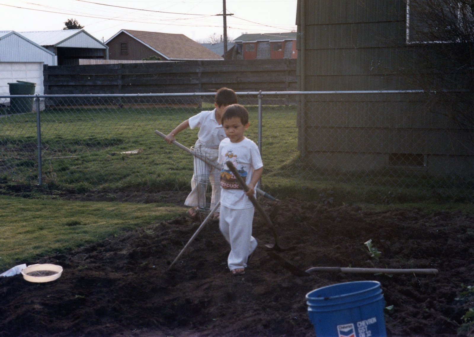 David and his brother as kids in the yard.