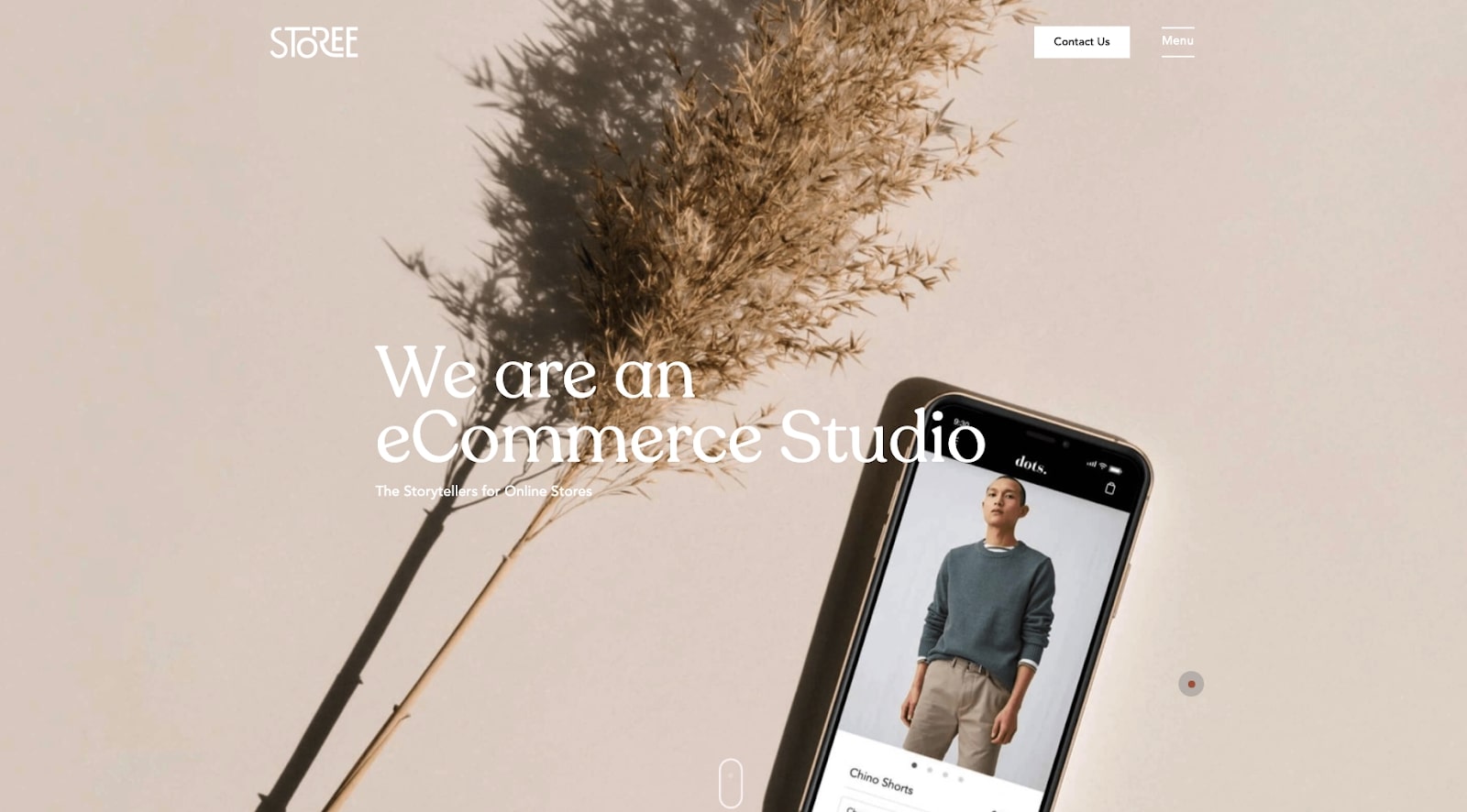 storee website