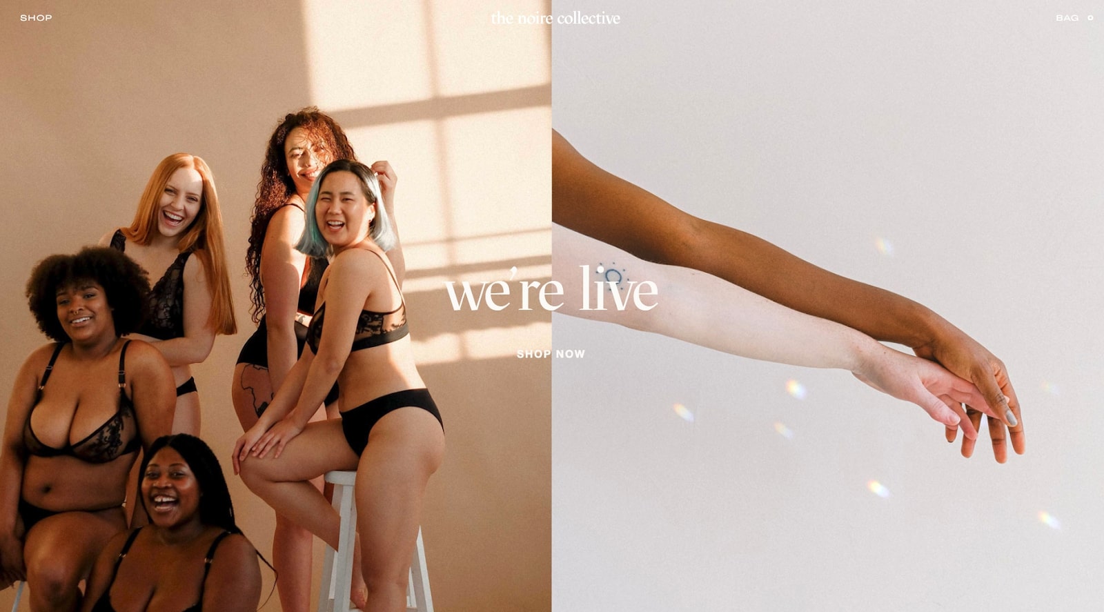 the noire collective website