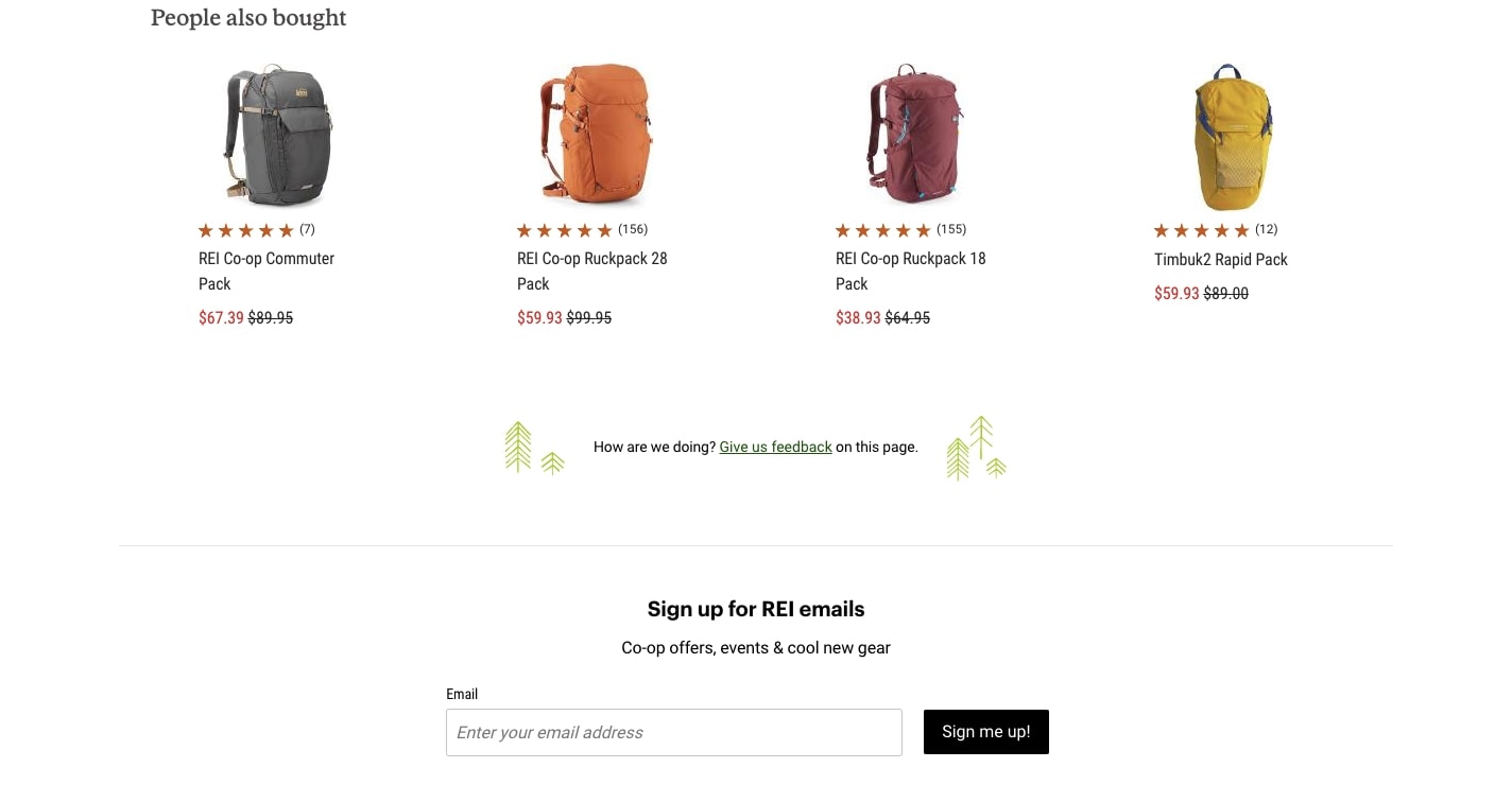REI's product page