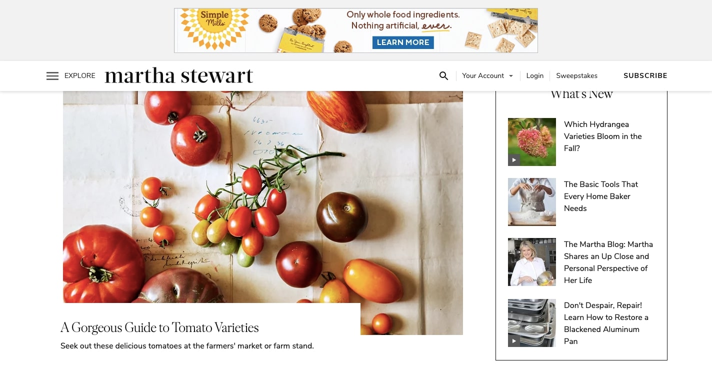 martha stewart's website