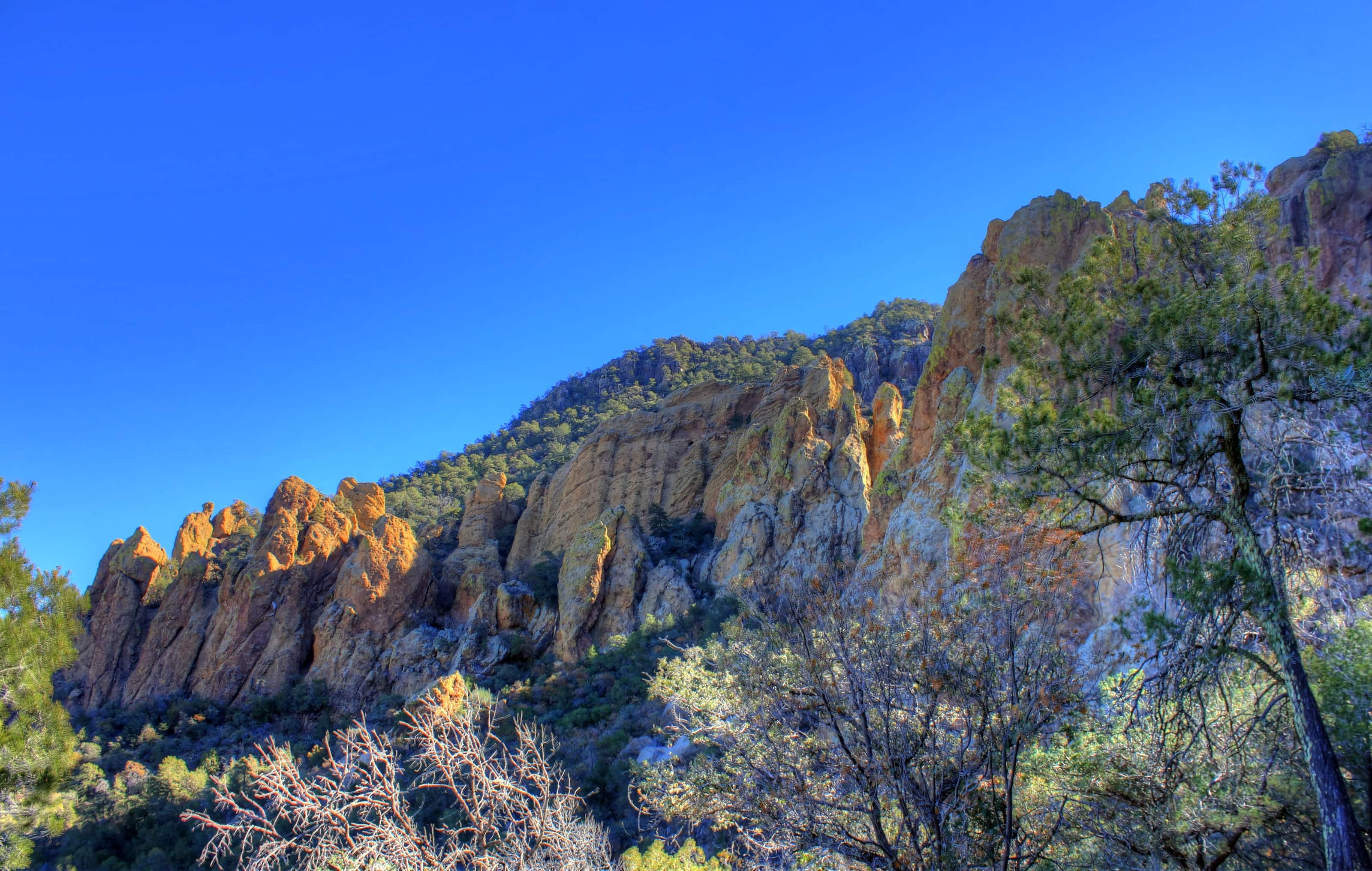 Round Rock 24/7 Roadside Assistance & Towing Service