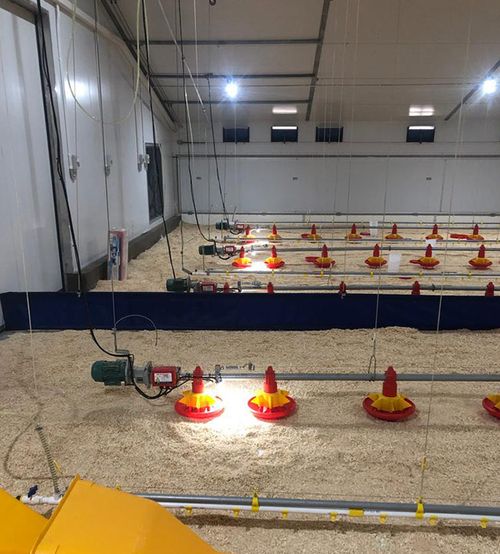SUNBIRD® Poultry Lighting