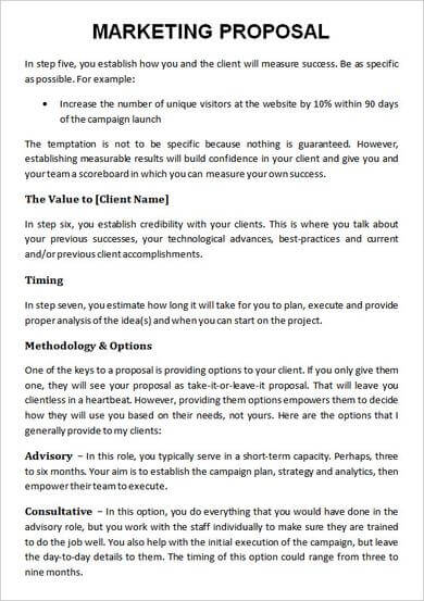 Business Marketing Proposal Template Example