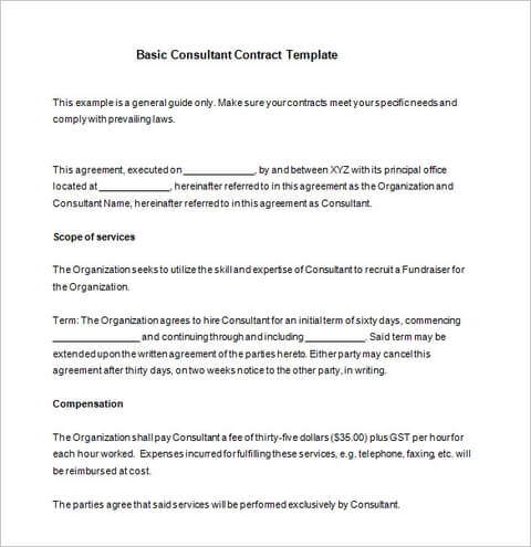 Basic Consultant Contract Template