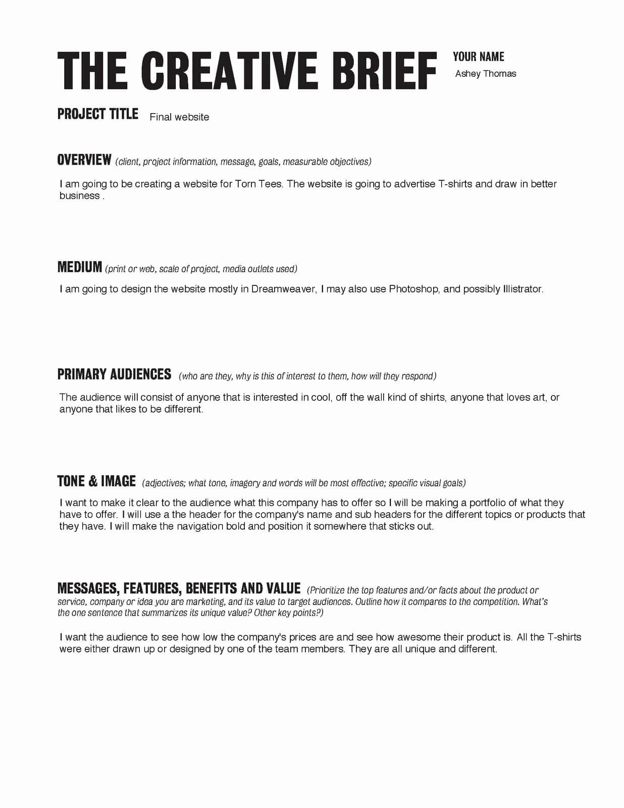 Design Project Brief Template Sample