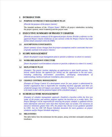 Project Management Proposal Template Google Docs