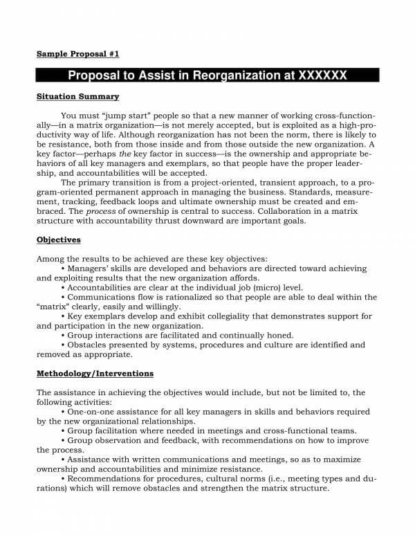 Freelance Proposal Template Sample