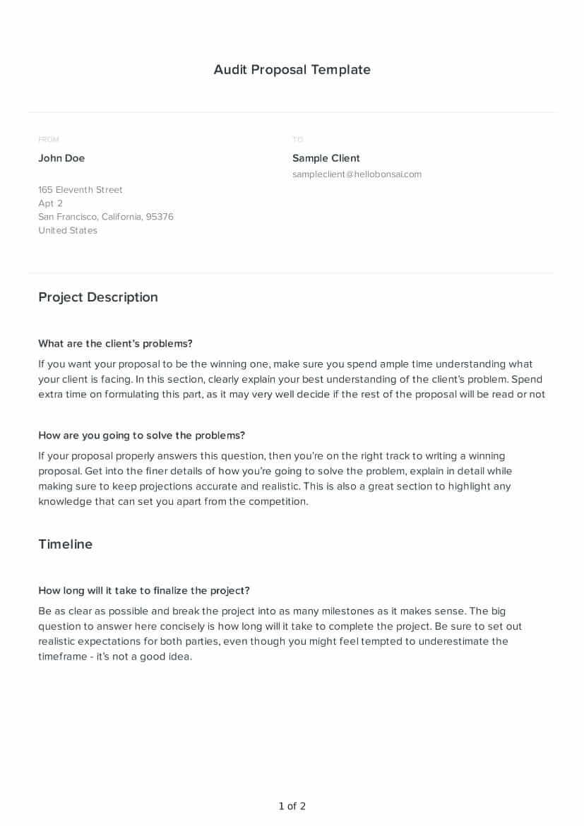 Audit Proposal Template