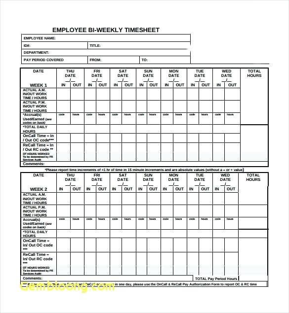 Biweekly Timesheet Sample