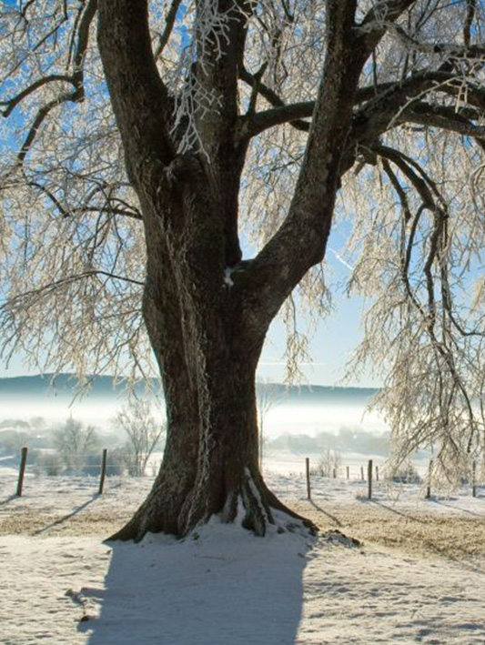 foto van artikel op Fotografie.nl
