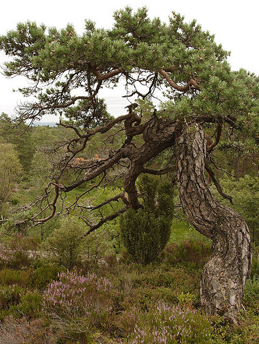 side bar image artikel Fotografie.nl