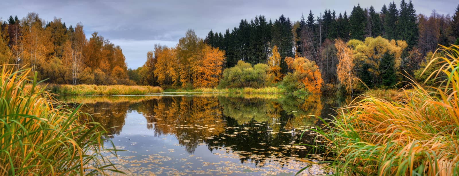 Een plas met bomen eromheen in herfstkleuren