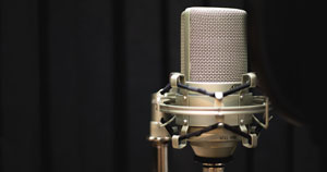 An MXL 990 condenser microphone.