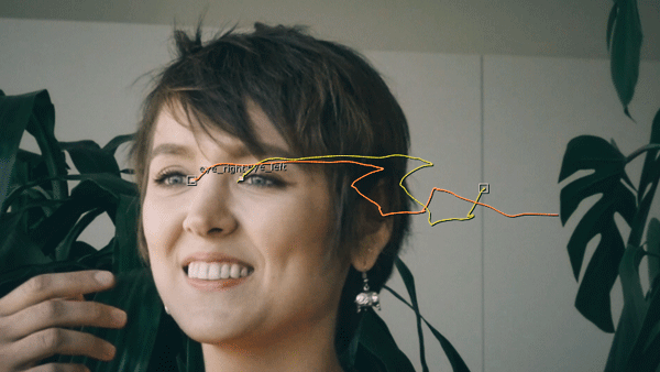 FaceTracker for Nuke | KeenTools