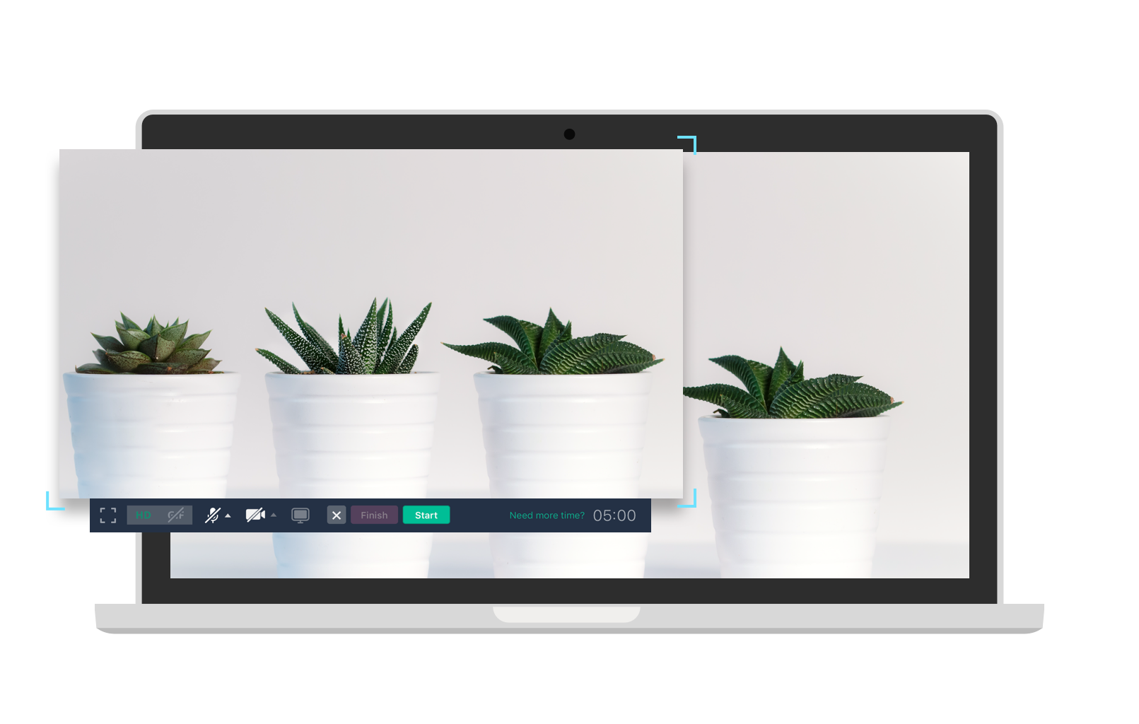 video screen capture software