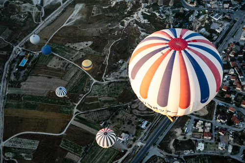 Elevate the customer experience
