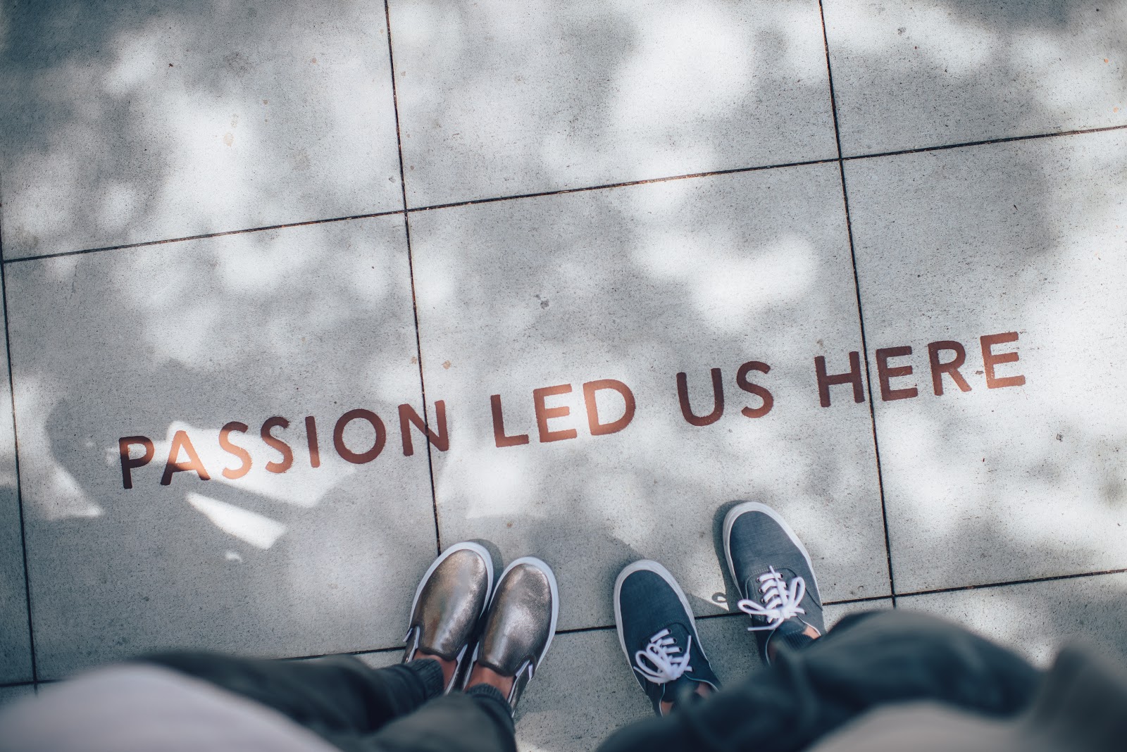 Strong leaders bring success to their company.