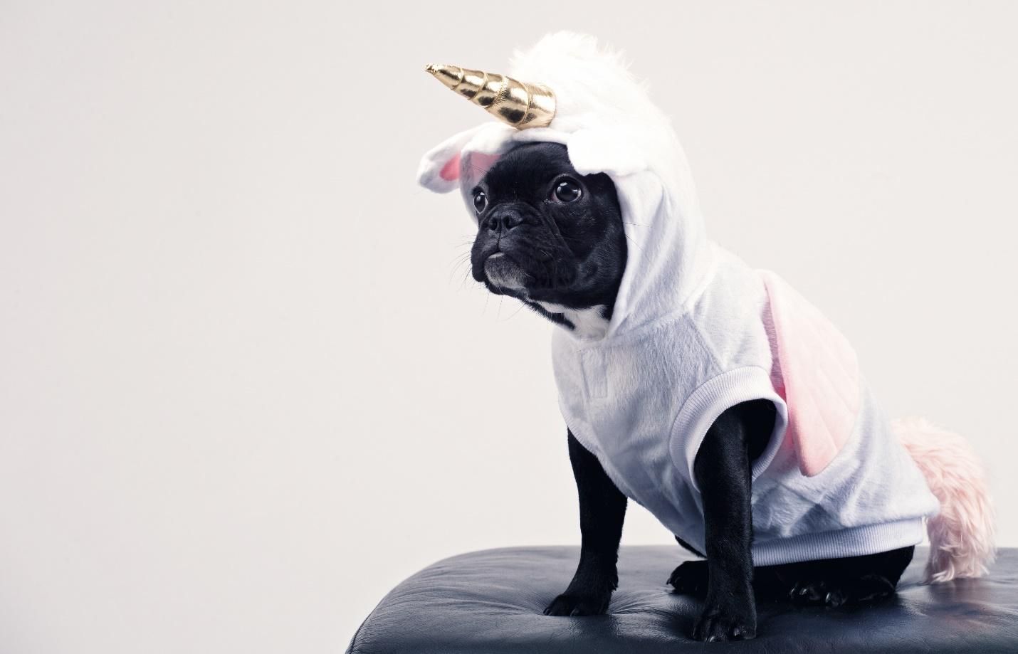 unicorn startup without a clear strategy