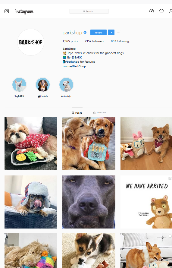 Bark Shop Instagram