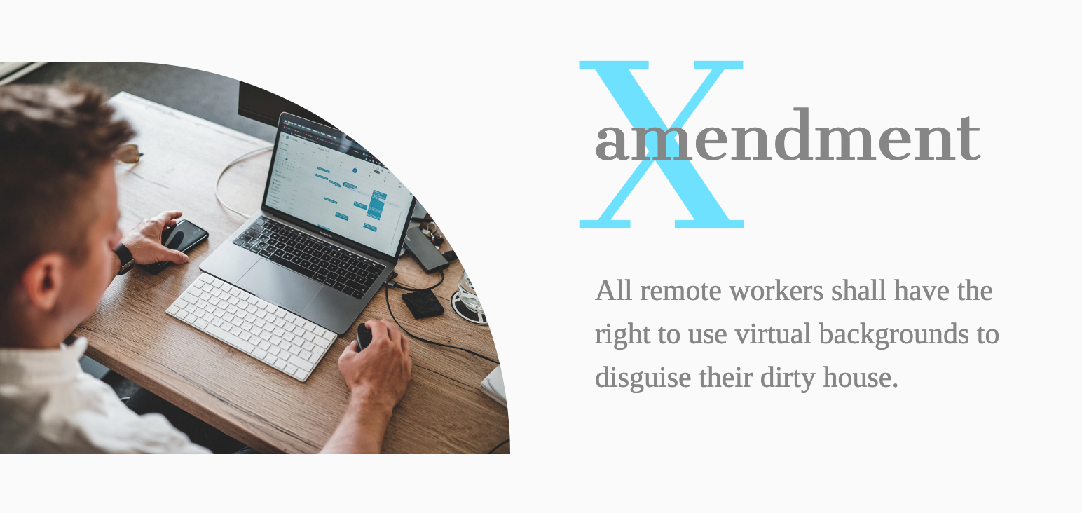 Amendment X- All remote workers shall have the right to use virtual backgrounds to disguise their dirty house
